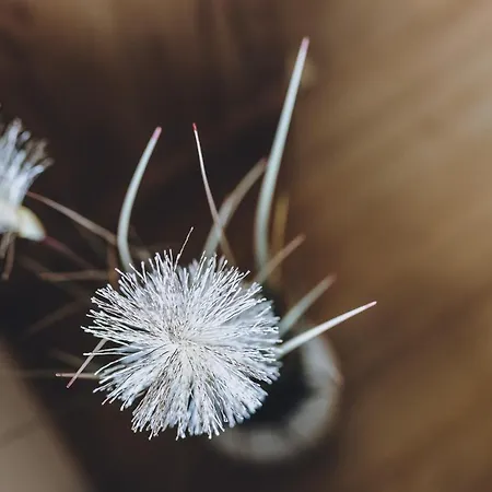 Апартаменты By We Rent Целль-ам-Зе