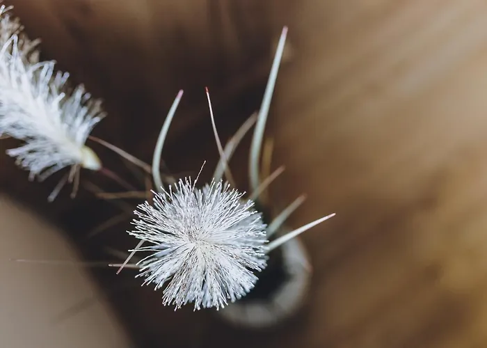 Appartamento By We Rent Zell am See