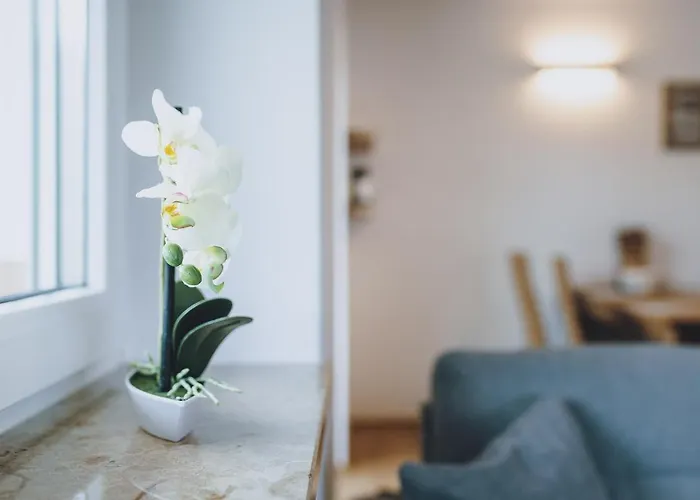 Apartment By We Rent Zell am See